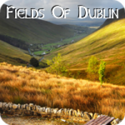 Fields Of Dublin (3:42)