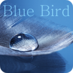 Blue Bird (4:05)
