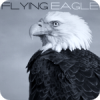 Flying Eagle