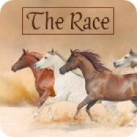 The Race